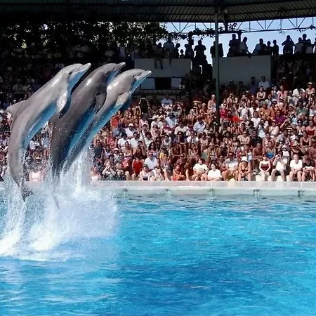 Albufeira - Apartment - Sleeps 4 - Pool - Seaside Апартаменты Албуфейра