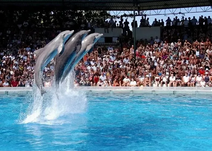 - - Sleeps 4 - Pool - Seaside 아파트 알부페이라